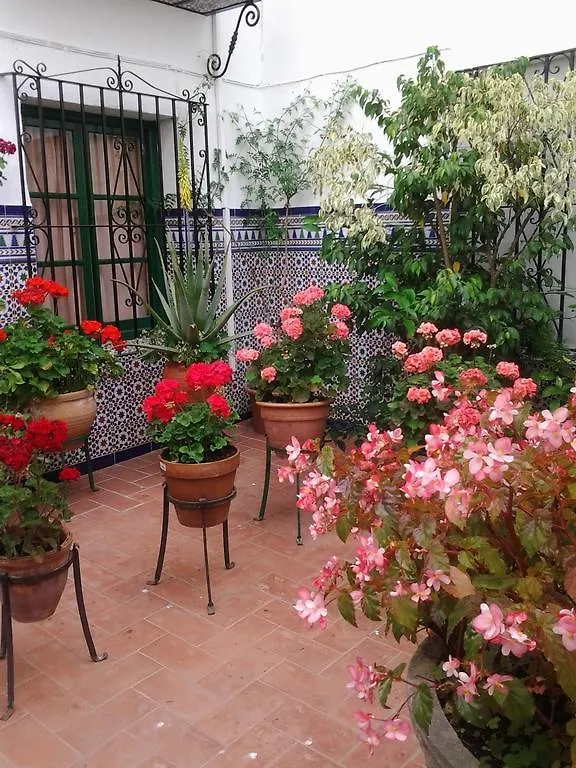 Hostal Enriqueta Marbella İspanya