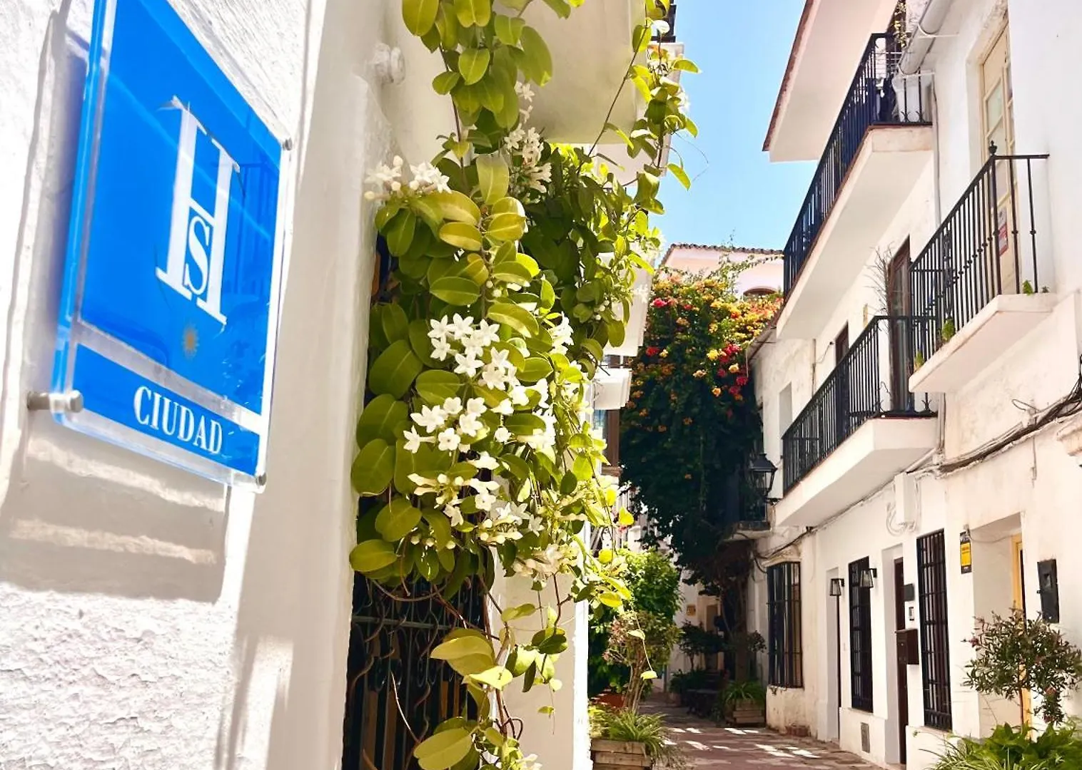 ** Guest house Hostal Enriqueta Marbella Spain
