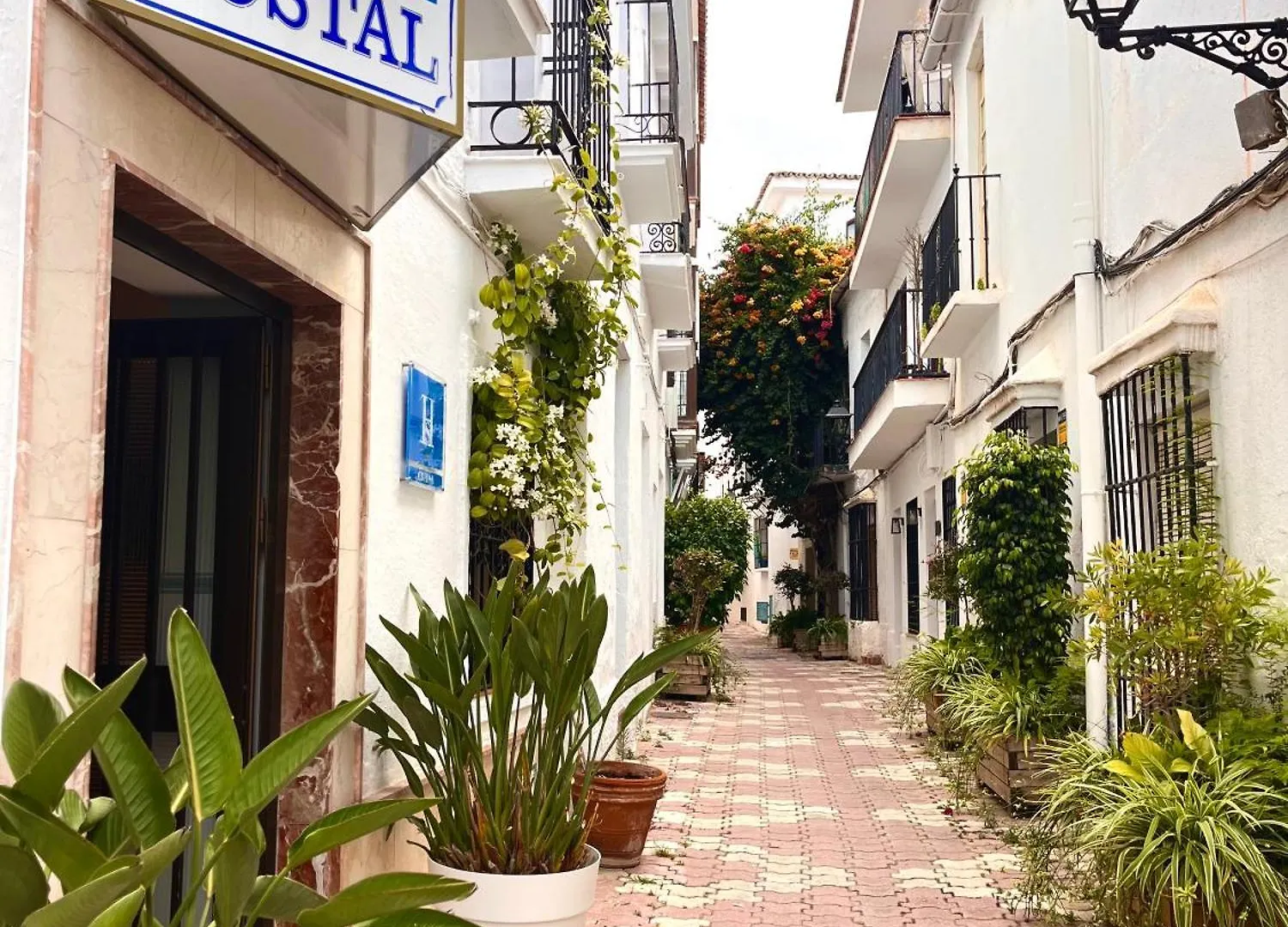 Hostal Enriqueta Marbella